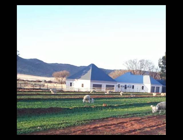 471HA FARM FOR SALE IN MIDDELBURG RURAL